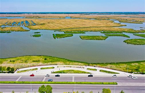 天津古海岸与湿地国家级自然保护区湿地生态修复工程测绘项目